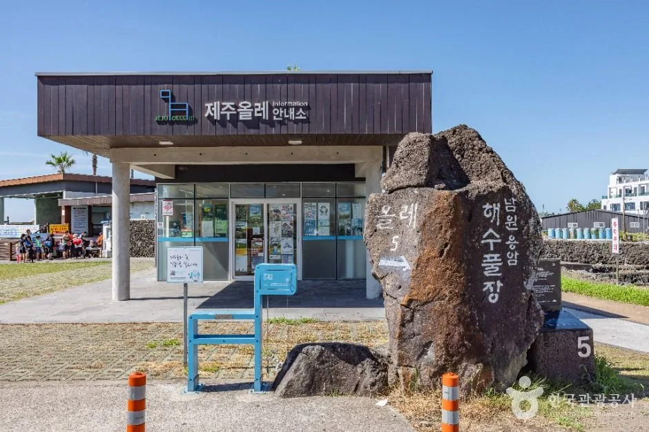 쇠소깍 투명카누로 보이는 맑은 바다 아래 물고기