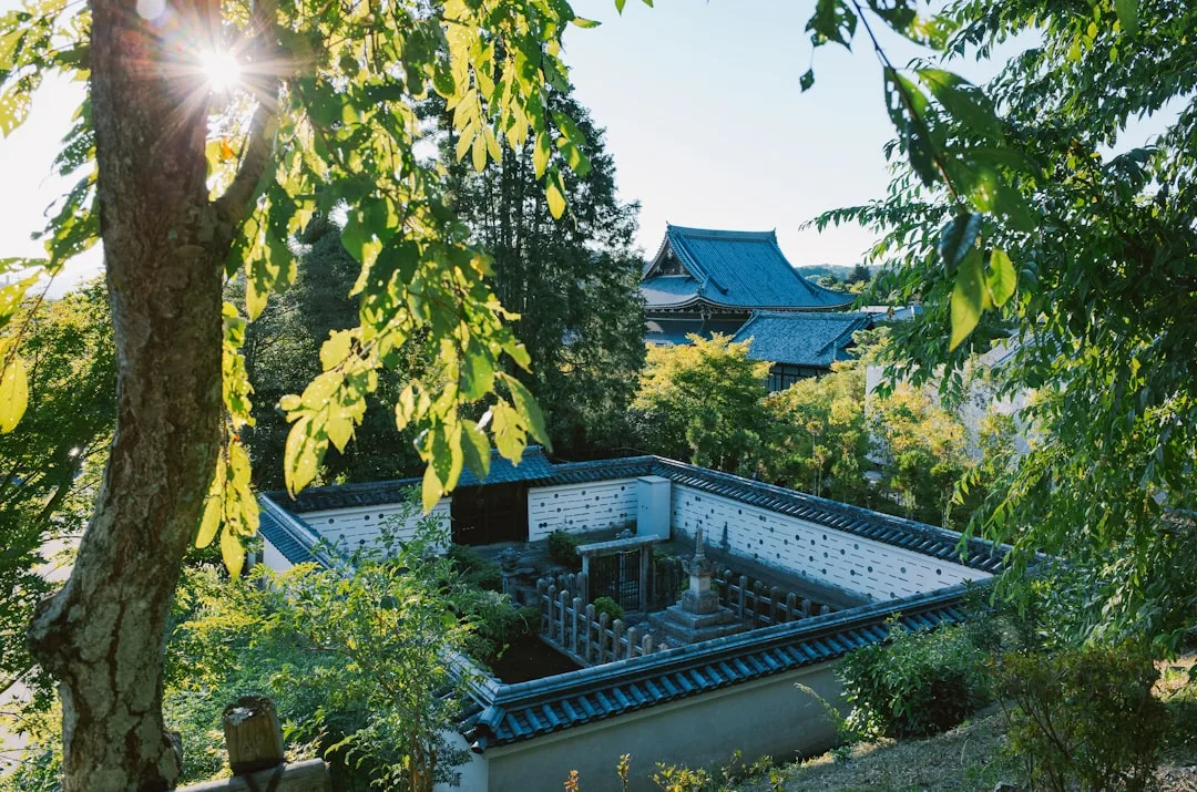 교토 사찰의 정원과 오후 햇빛