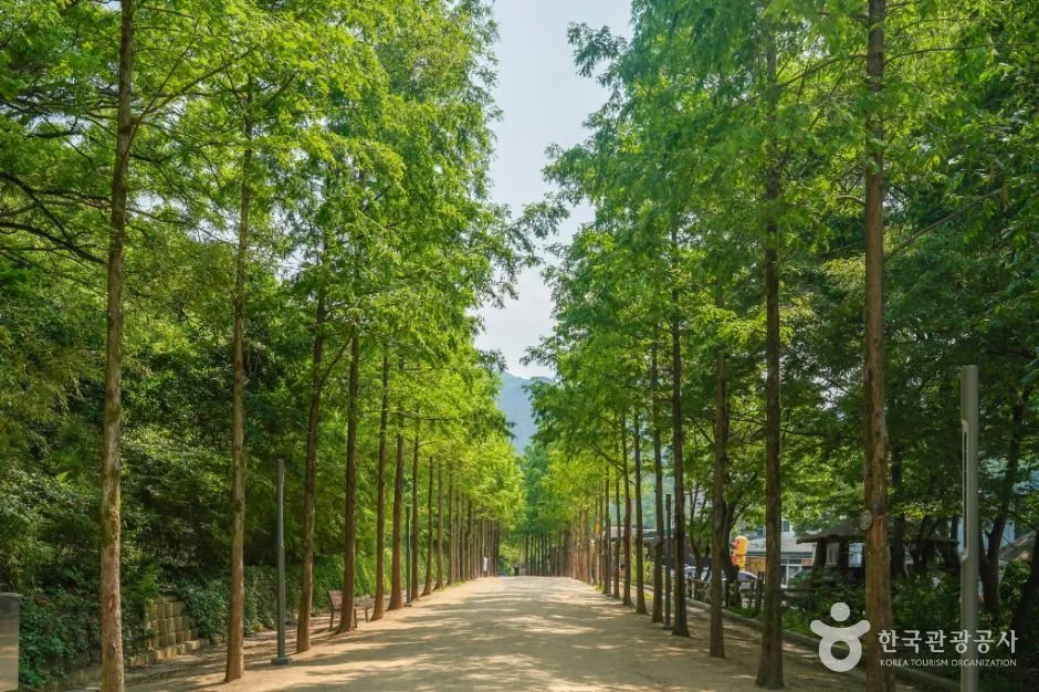 앞산전망대에서 내려다본 대구 시내의 야경과 불빛