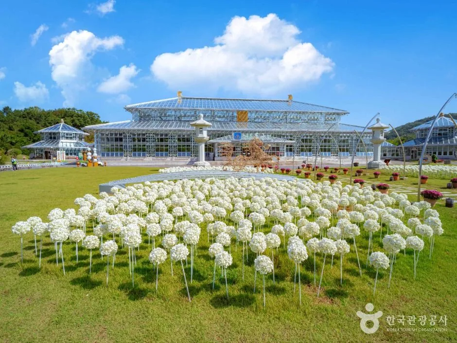 경주 보문호 주변에 만개한 벚꽃이 호수에 반사되는 풍경