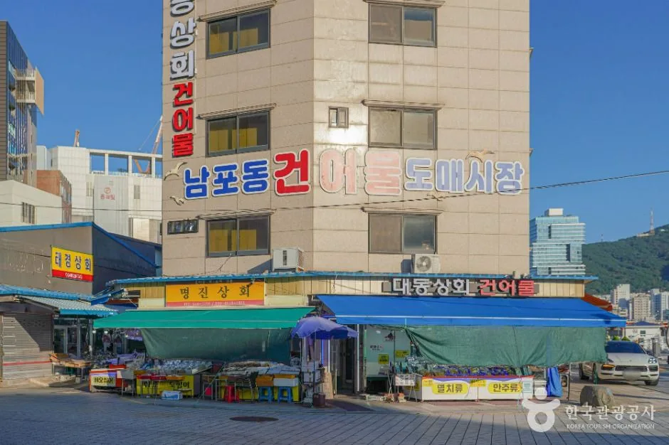 부산 해안 전경과 대도시 스카이라인