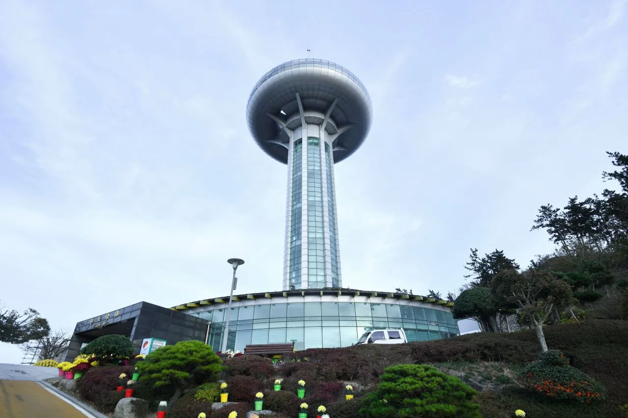 완도 4월 봄 여행 풍경