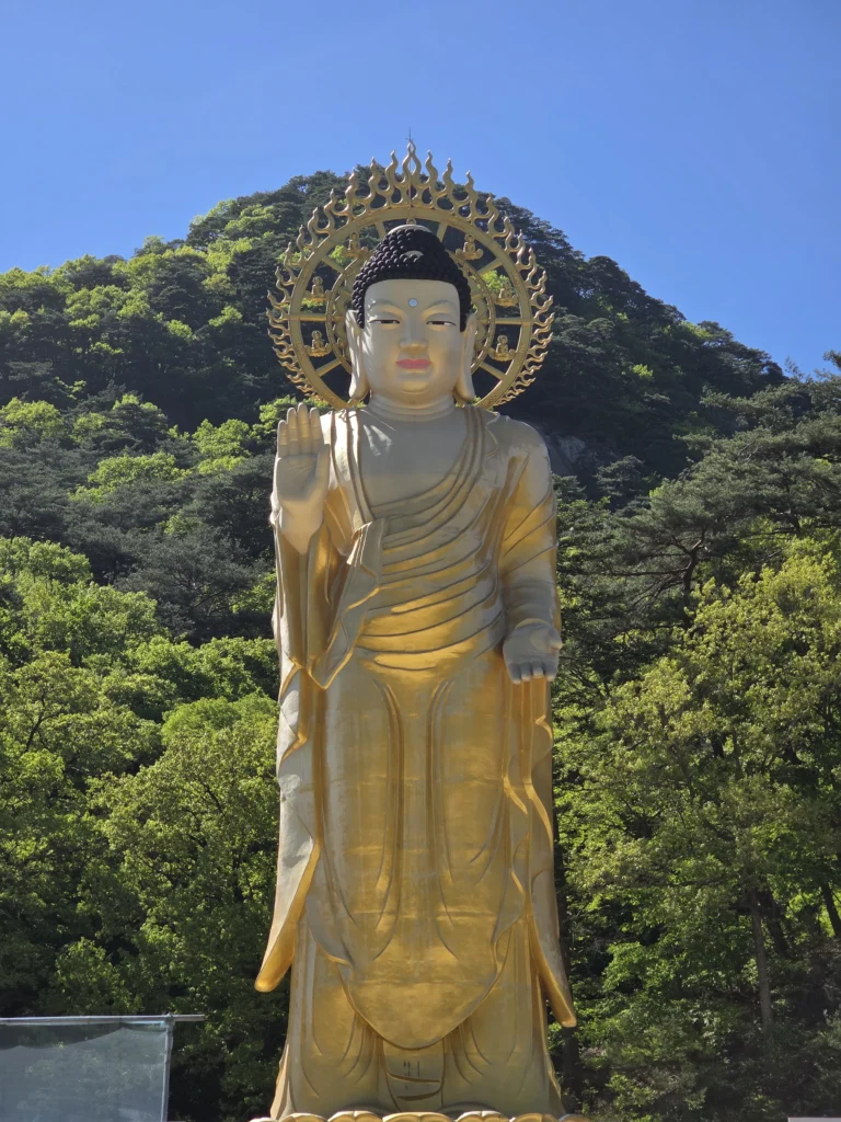 속리산 법주사 미륵대불