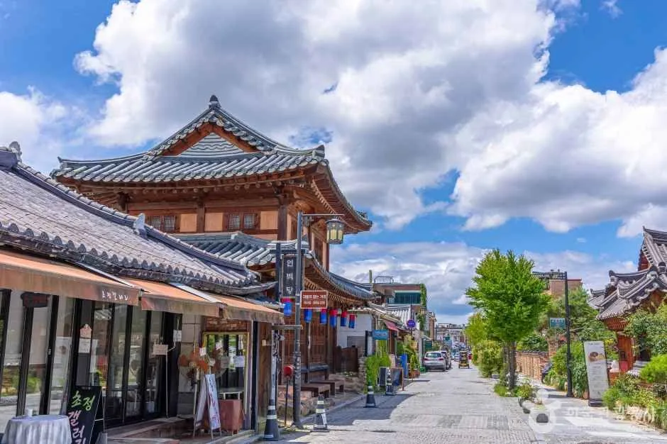 전주 한옥마을 벚꽃이 흐드러지게 피어있는 봄날 풍경