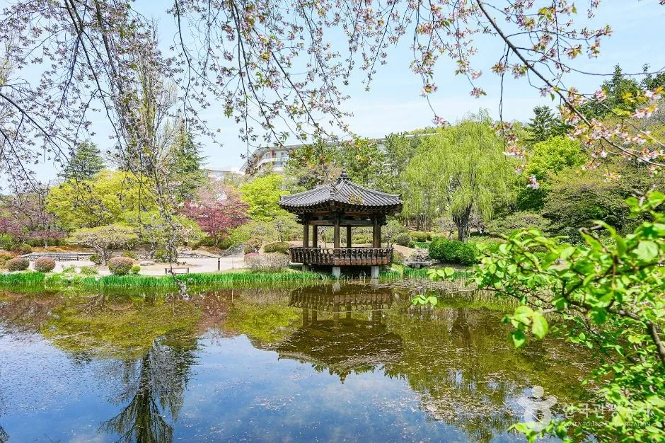 보문정의 연못 주변 산책로