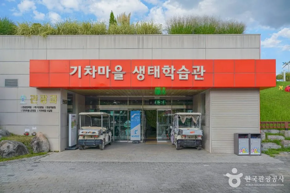 5월 초록이 살아나는 섬진강 벚꽃 풍경