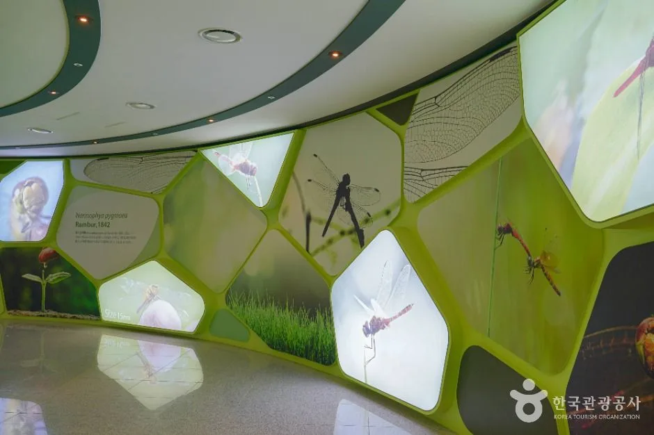 섬진강을 따라 이어지는 아름다운 드라이브 도로