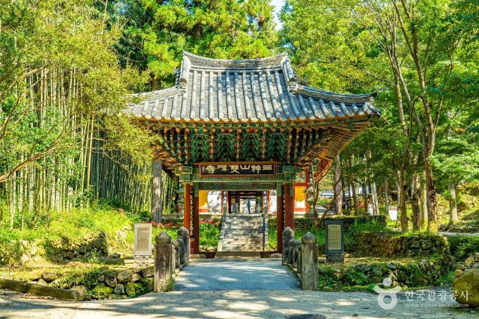 쌍계사 경내의 백년 동백나무와 벚꽃
