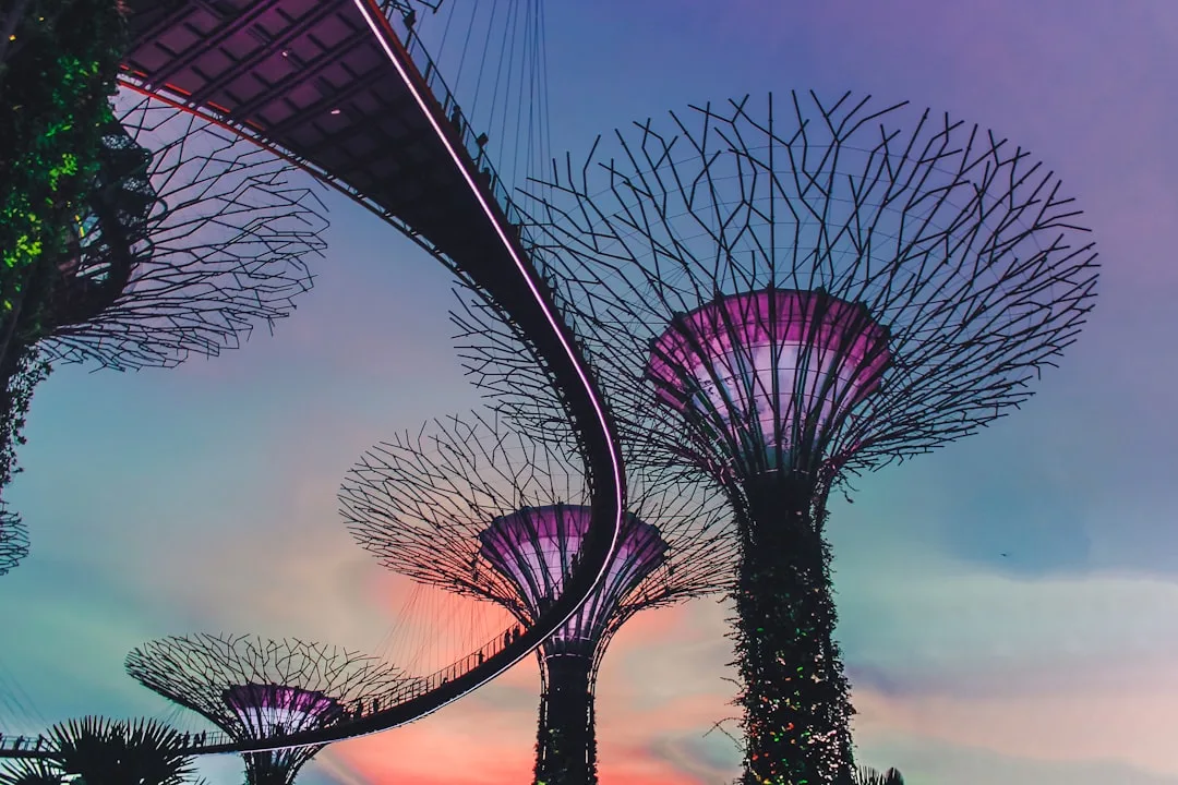 싱가포르 Gardens by the Bay 사진