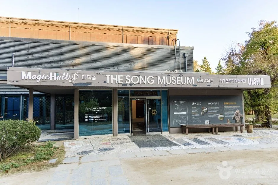 남이섬의 메타세쿼이아 길이 햇빛으로 물드는 초여름 풍경