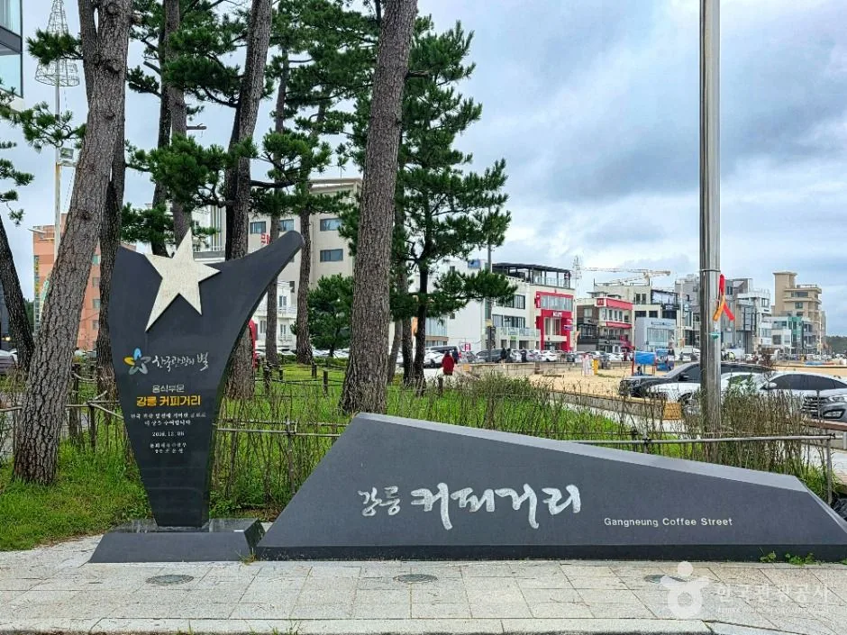 강릉커피거리의 안목해변 카페 테라스